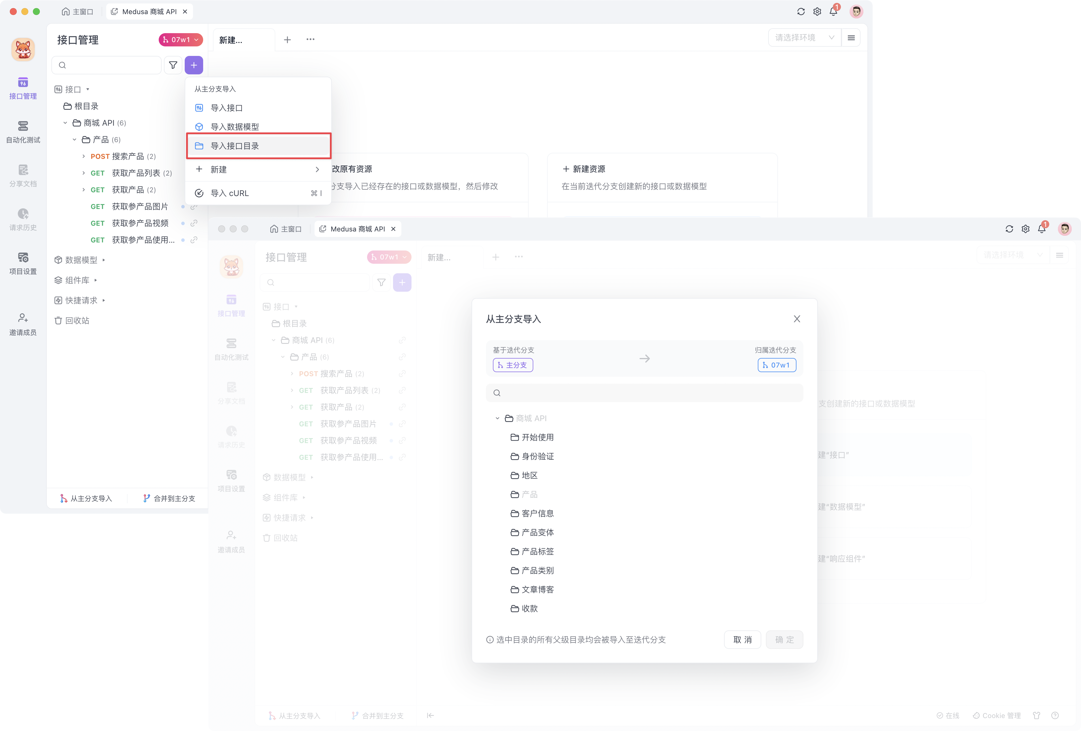 Apifox 迭代分支新建资源